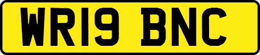 WR19BNC