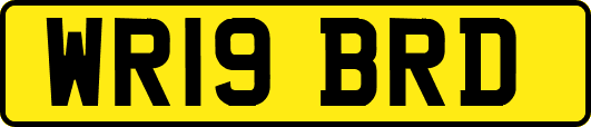 WR19BRD