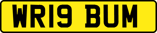 WR19BUM