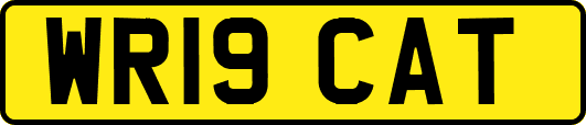 WR19CAT