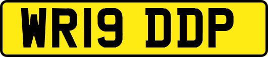 WR19DDP