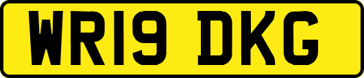 WR19DKG