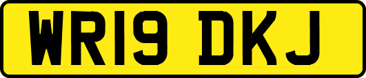 WR19DKJ