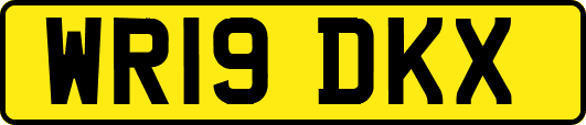 WR19DKX