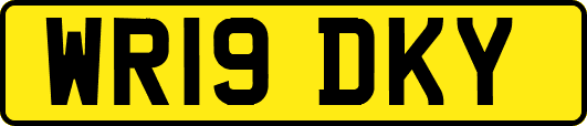 WR19DKY