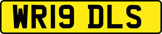 WR19DLS