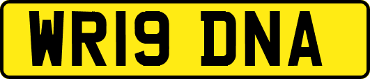 WR19DNA