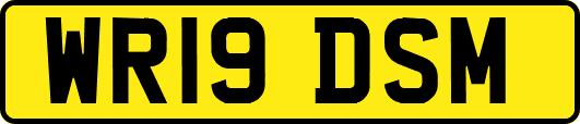 WR19DSM