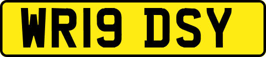 WR19DSY