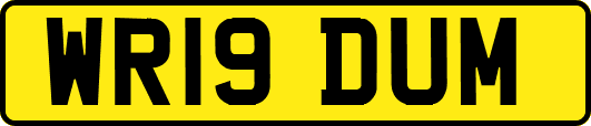 WR19DUM