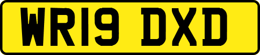 WR19DXD