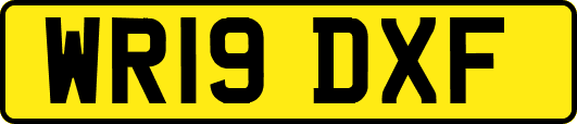 WR19DXF