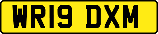 WR19DXM