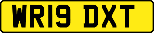 WR19DXT