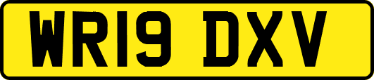 WR19DXV