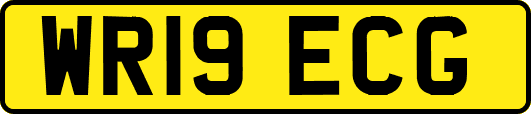WR19ECG