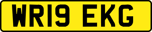 WR19EKG