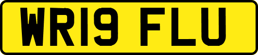 WR19FLU