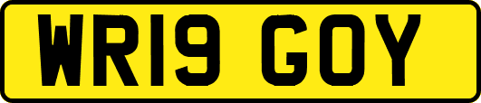 WR19GOY