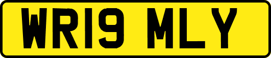 WR19MLY