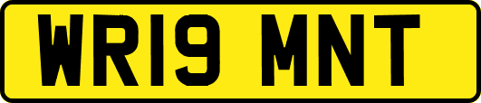WR19MNT