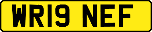 WR19NEF