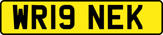 WR19NEK
