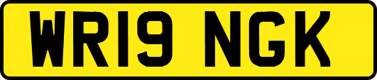 WR19NGK