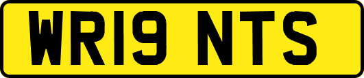 WR19NTS
