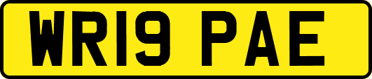 WR19PAE