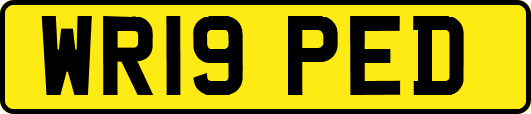 WR19PED