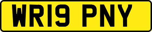 WR19PNY