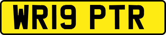 WR19PTR