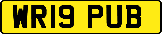 WR19PUB