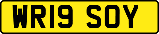 WR19SOY