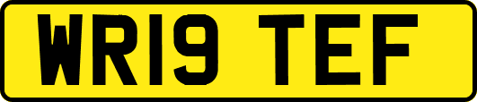 WR19TEF
