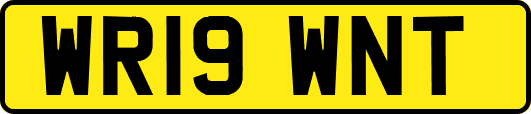 WR19WNT