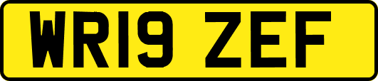 WR19ZEF