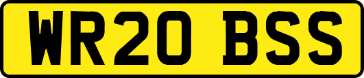 WR20BSS