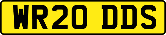 WR20DDS