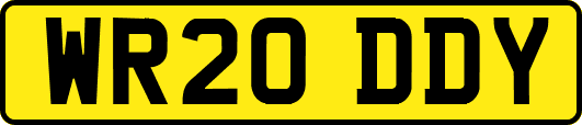 WR20DDY
