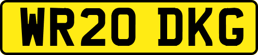 WR20DKG