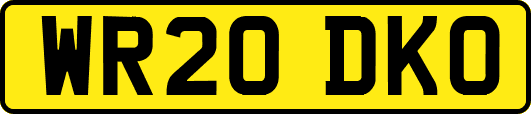 WR20DKO