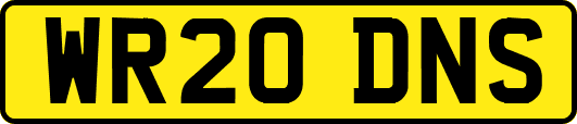 WR20DNS