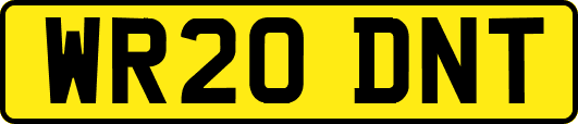 WR20DNT