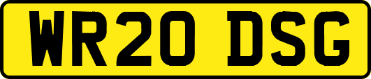 WR20DSG
