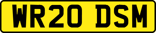 WR20DSM