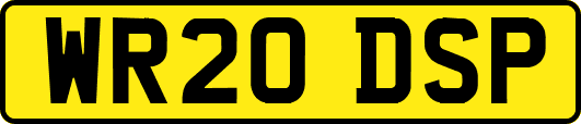 WR20DSP