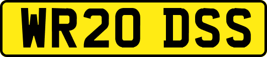 WR20DSS