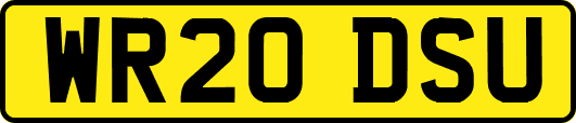 WR20DSU